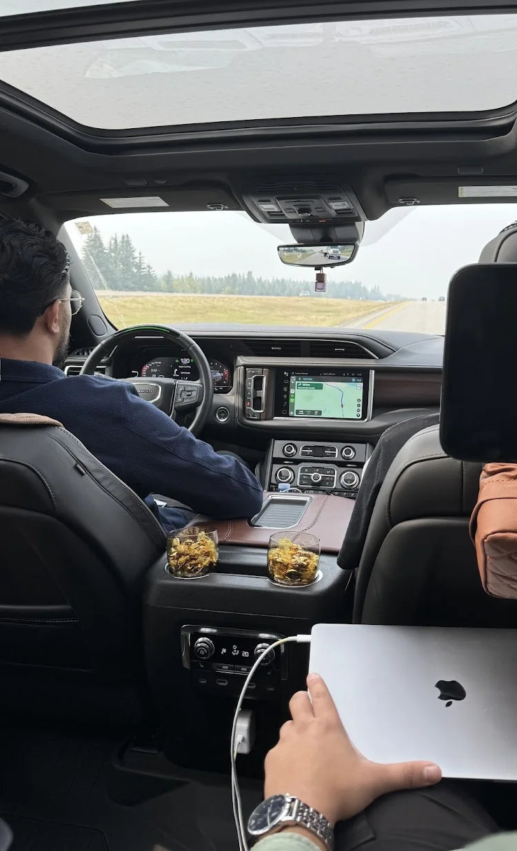 Meticulously Vetted Professional Chauffeur